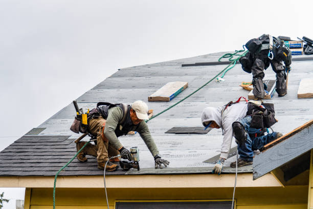 Professional Roofing technician working in North Liberty, IA